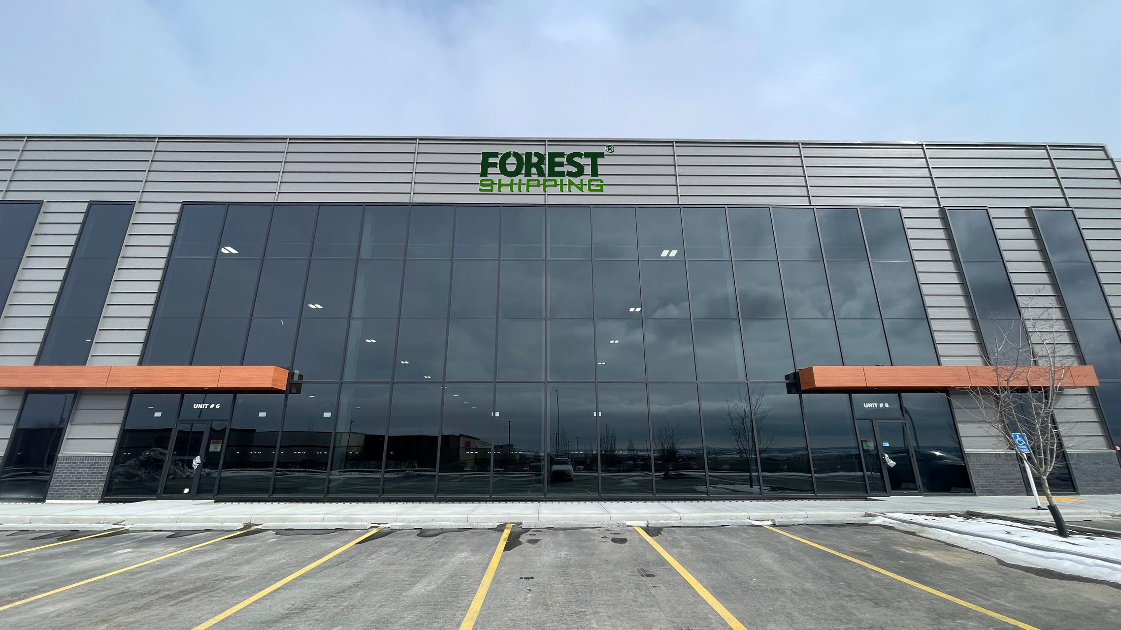 forest海外仓